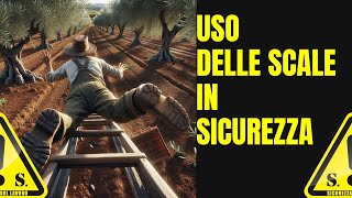 COME SI USA LA SCALA IN AGRICOLTURA lavorare in sicurezza [upl. by Seyer]