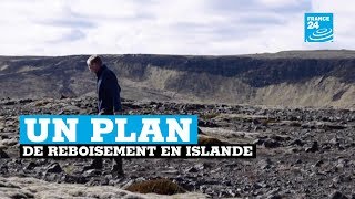 Un nouveau plan de reboisement en Islande [upl. by Aihsotal]