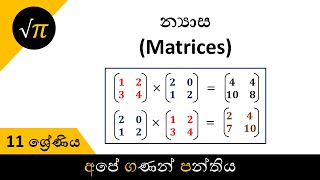 Grade 11  Matrices  11 ශ්‍රේණිය  න්‍යාස [upl. by Ehr544]