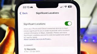 ANY iPhone How To Access Location History [upl. by Stortz]