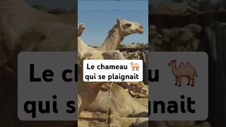 Le prophète MOUHAMMAD ET le chameau 🐫 QUI se plaignit à lui youtubeshorts [upl. by Adamsen]