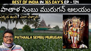 Pathaala sembu murugan temple full tour in telugu  Karungali maala  Dindigul  Tamilnadu [upl. by Blalock]