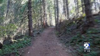 Holdens Hikes Acker Rock Lookout [upl. by Latini52]