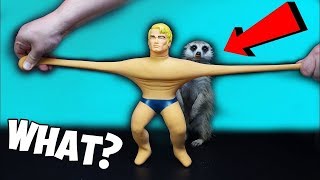 STRETCH ARMSTRONG  Was ist das für ein SPIELZEUG und Was kann er [upl. by Phelps853]