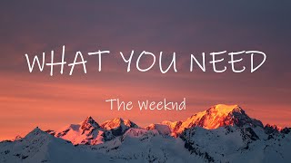 The Weeknd  What You Need Lyrics [upl. by Aihcats]