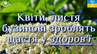 🌺Квіти листя бузинові зроблять щастя у здоровї🌺🌺🌺 [upl. by Nabal]