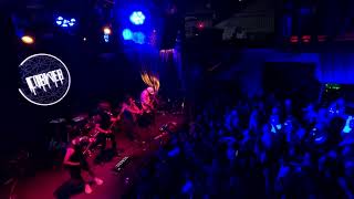 Cobweb live in Austin Texas 2024 [upl. by Nove]