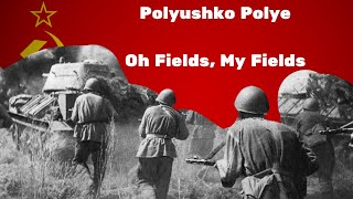 Polyushko PolyeOh Fields My FieldsSoviet army song  Sung by the MVD Ensemble [upl. by Ahsirpac]