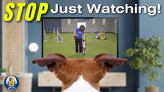 Stop Just Watching Dog Training Videos Mastering Active Learning Instead 289 podcast [upl. by Lowry998]