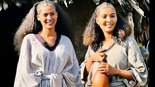 የዒሳቦ ደይሙኖ ደርፊHalefom Barantorayamusictigrignamusic2024 [upl. by Hester]