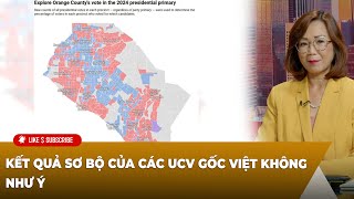 Cà Phê Sáng P2 11062024 Kết quả sơ bộ của các UCV gốc Việt không như ý [upl. by Anazraf39]