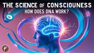 How Does DNA Work [upl. by Ibrek]