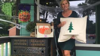 Check out Nora Flemings Interchangeable Pillows [upl. by Israel]