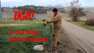 Frozen Frost Free Hydrant Fixes for Your Frost Free Hydrants [upl. by Terbecki841]