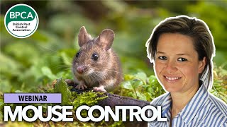 Mouse control best practice and tips for management [upl. by Siroled47]