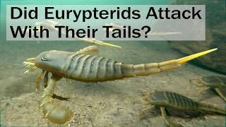 Did Eurypterids Attack With Their Tails [upl. by Brendin]