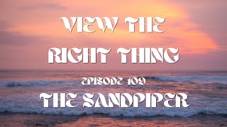 Episode 109  The Sandpiper [upl. by Noivart480]