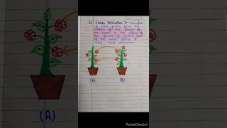 what is pollination  types of pollination  pollination and types [upl. by Valina141]