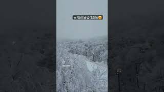 눈꽃❄가득한 겨울⛷ 용평리조트🥰 Jan212024 Yongpyong Resort in South Korea [upl. by Mashe]