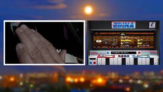 KORG Gadget 2 Plugins  Ebina  TAITO Arcade Synthesizer [upl. by Mordy]