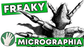 Freaky Micrographia  Objectivity 43 [upl. by Karlene467]