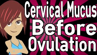 Cervical Mucus Before Ovulation [upl. by Ailina]