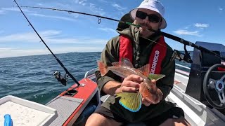 Snapper Fishing NZ Tauranga [upl. by Sacha119]