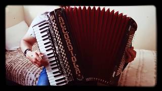 Wiśniowy Sad Cover Akordeon Accordiola [upl. by Cann242]