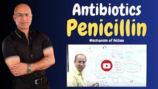 Penicillin  Antibiotics  Mechanism of Action  Pharmacology💊 [upl. by Llertnahs204]