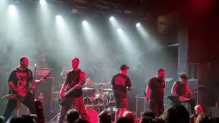 Despised Icon  MVP Live [upl. by Dorelle]