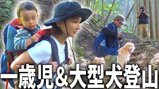 1歳児背負って3年ぶりに登山したらヤバ過ぎたww [upl. by Seessel]