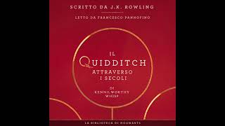 Il Quidditch attraverso i secoli Harry Potter audiolibro in italiano Francesco Pannofino [upl. by Labotsirhc]