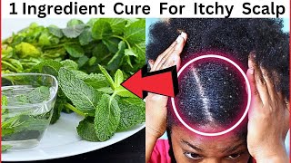 DO THIS IF YOU HAVE ITCHY SCALP IN NATURAL HAIR  diy anti itch spray [upl. by Akiner326]