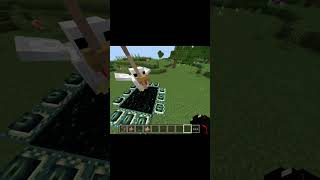 fox go to end minecraft funny shots viral video [upl. by Veriee368]