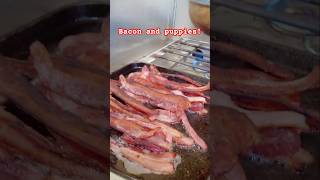 Puppies and bacon breakfast dog puppy mountains nature love friends jeep fun [upl. by Kazmirci521]