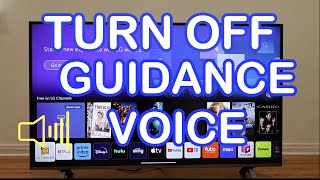 LG Smart TV quotTURN OFFON VOICE ASSISTANCE TALK BACK AUDIO GUIDANCE 2024😮 [upl. by Alul574]