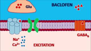 Baclofen  Mechanism side effects precautions and uses [upl. by Ainocal]