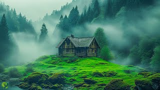 Beautiful Relaxing Music  Stop Overthinking Stress Relief Music Sleep Music Calming Music 177 [upl. by Gurango]