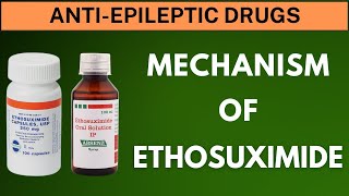 Mechanism of Action of Ethosuximide [upl. by Erminia]