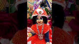 Shringar Basanti hai ðŸ™ðŸ¥°ðŸ™ Jai shree Radhe Radhe [upl. by Jone158]