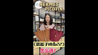 Hermes Picotin 18 or 22  怎么选爱马仕菜篮子18或22？ [upl. by Devehcoy]