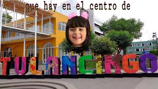 El centro de Tulancingo Hidalgo [upl. by Thanos]