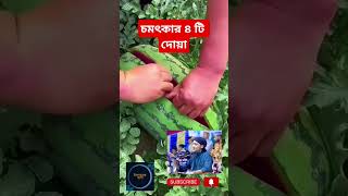 কত চমৎকার দোয়া।। আবু ত্বহা মোহাম্মদ আদনান। [upl. by Yzzik]