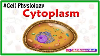 Cytoplasm  USMLE Cell Physiology Animations [upl. by Pasia]