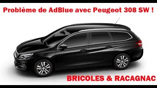 😭😭 Problème AdBlue sur Peugeot 308SW 😭😭 [upl. by Launamme]