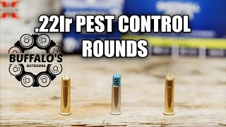 Which 22lr SHOTSHELL is best Pest Control Showdown [upl. by Edyak]