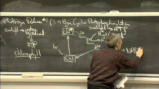 Photosynthesis  MIT 701SC Fundamentals of Biology [upl. by Adnert]