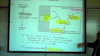 SYNAPTIC TRANSMISSION IN THE CNS PART 2 by Professor Fink [upl. by Billye]