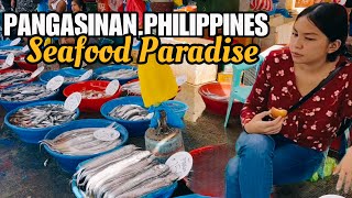 DAGUPAN CITY PANGASINAN PHILIPPINESstreet and market tour 4k [upl. by Alison805]