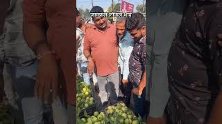 ujjain mandi sitafal bajarbhav reelsinstagram jualbeliakunyoutube trendingshorts [upl. by Aniled]